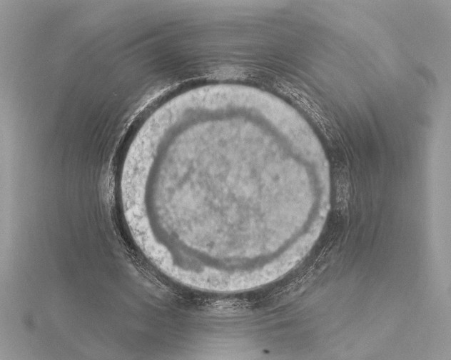 X0000115030584200912071050