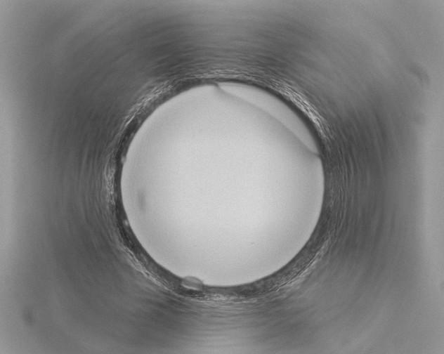 X0000115030585200912071050