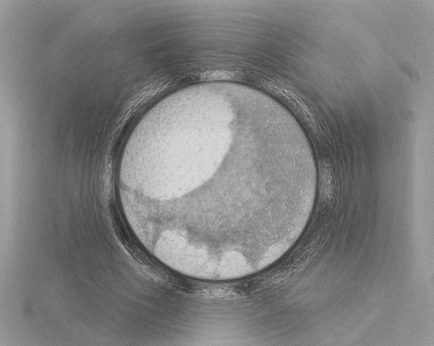 X0000115030586200912071050