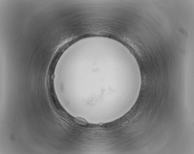 X0000115030587200912071050