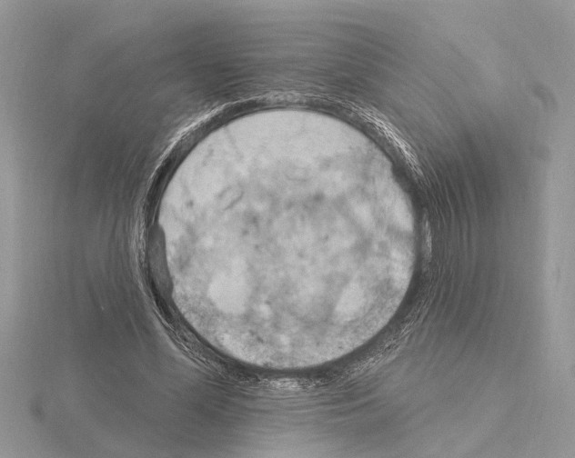 X0000115030588200912071050