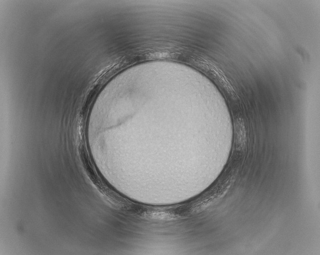 X0000115030590200912071050