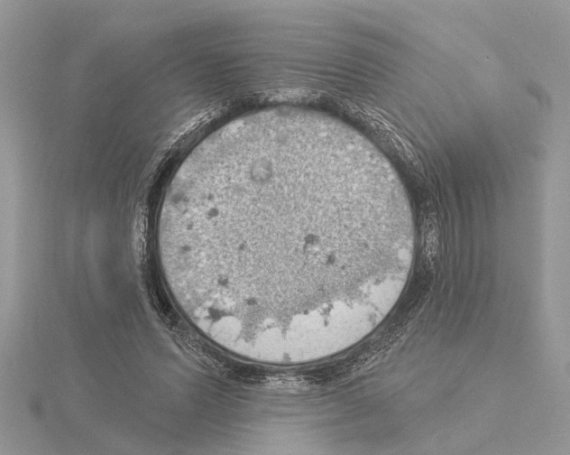 X0000115030591200912071050