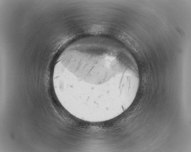 X0000115030592200912071050