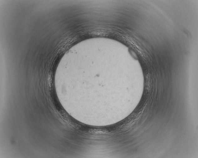 X0000115030597200912071050