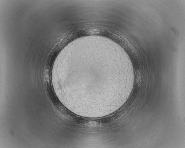 X0000115030598200912071050