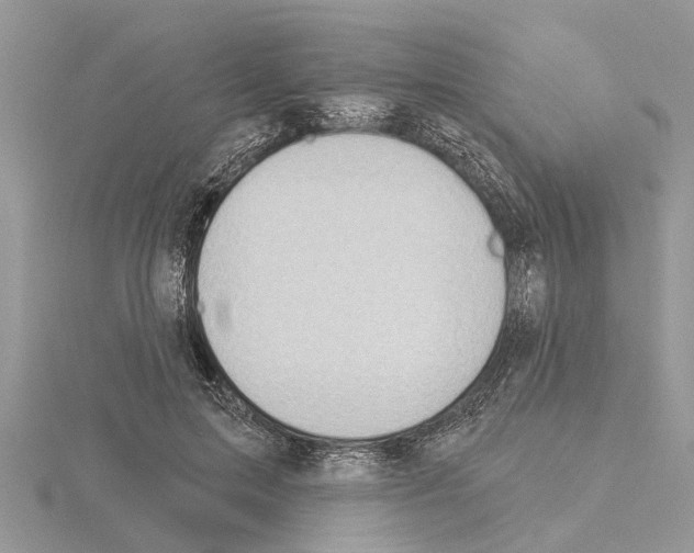 X0000115030599200912071050