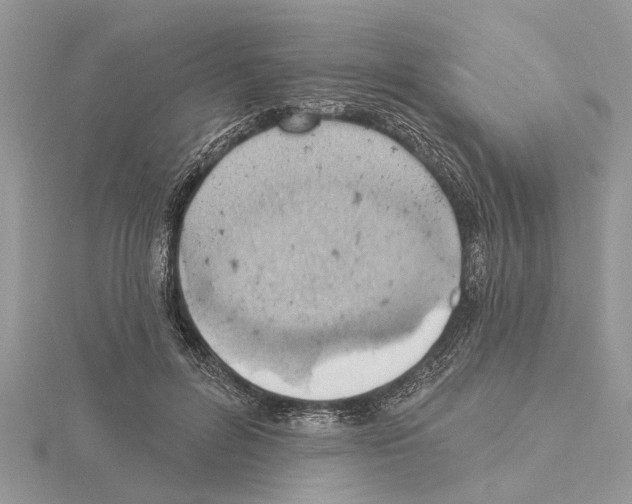 X0000115030600200912071050