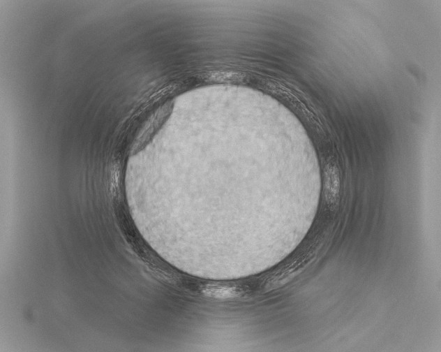 X0000115030602200912071050