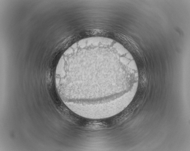 X0000115030607200912071050