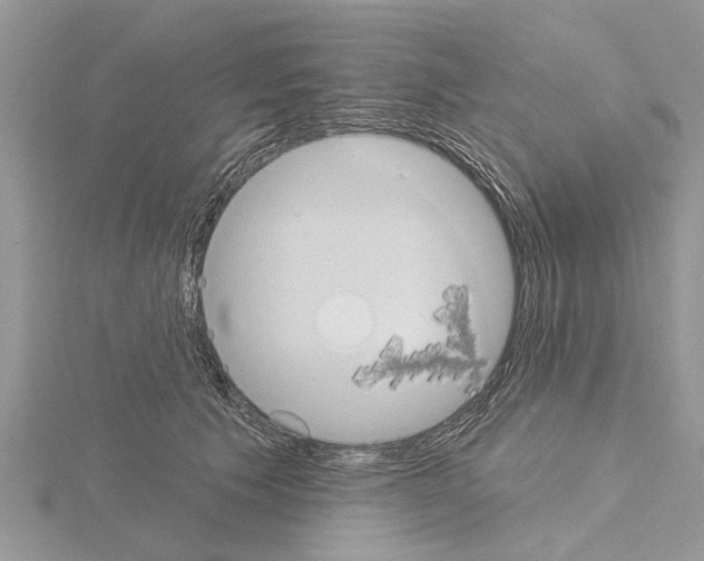 X0000115030609200912071050