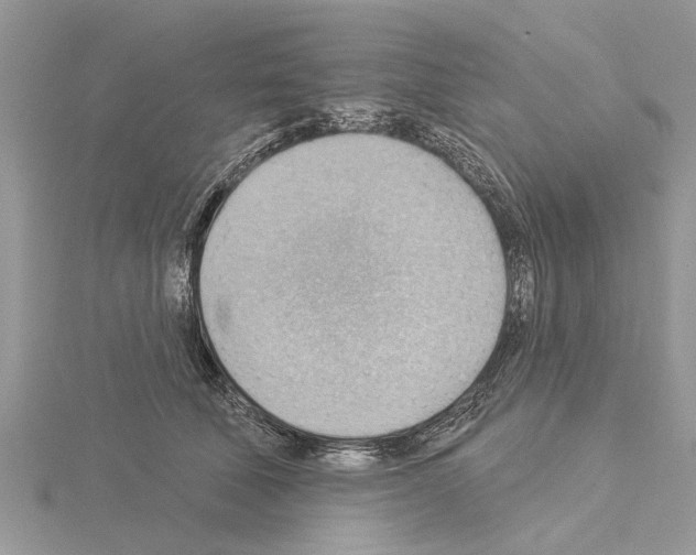 X0000115030610200912071050