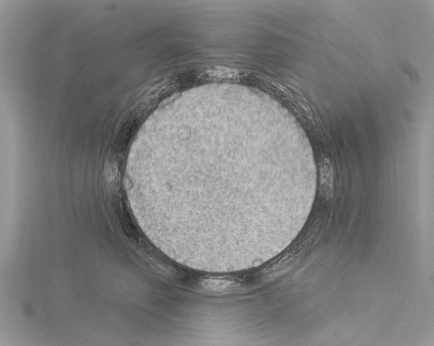 X0000115030614200912071050