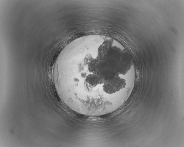 X0000115030617200912071050