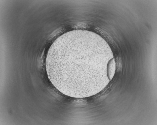 X0000115030619200912071050