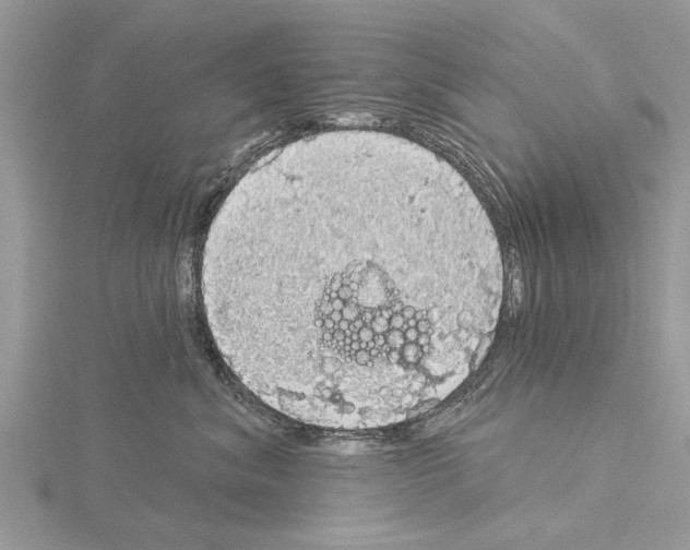 X0000115030620200912071050