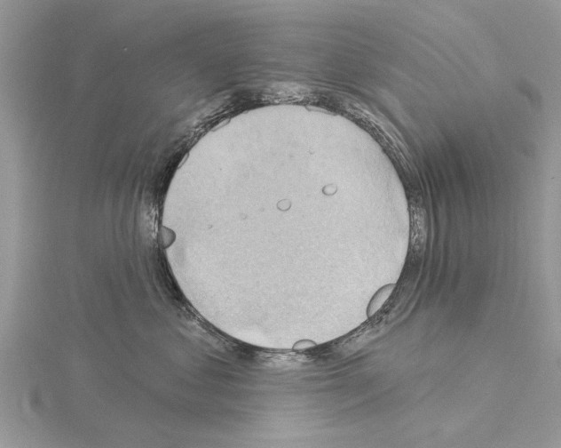 X0000115030621200912071050