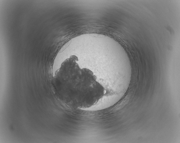 X0000115030624200912071050