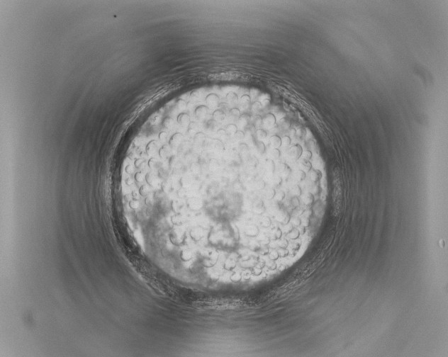 X0000115030626200912071049