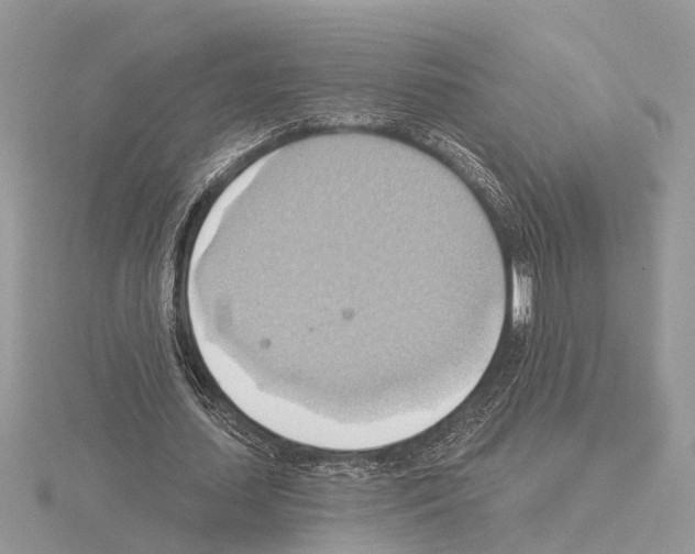 X0000115030627200912071049