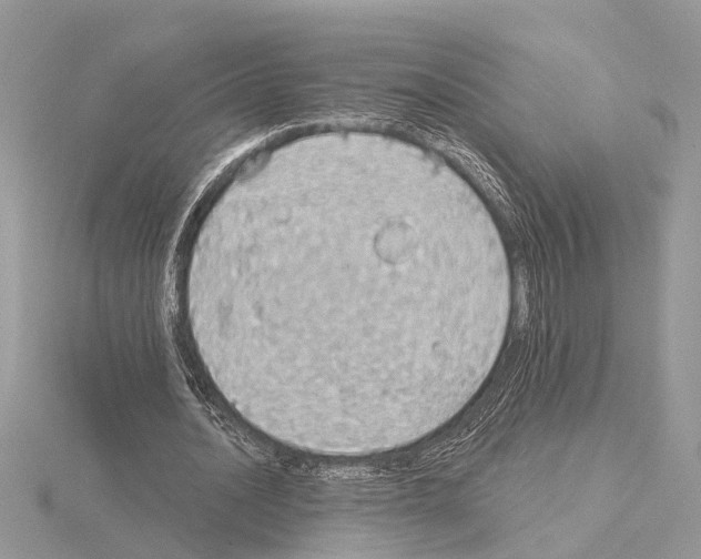 X0000115030628200912071049