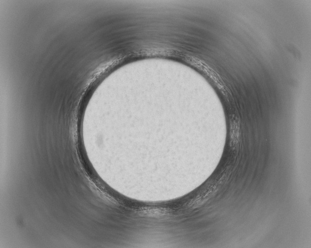 X0000115030629200912071049