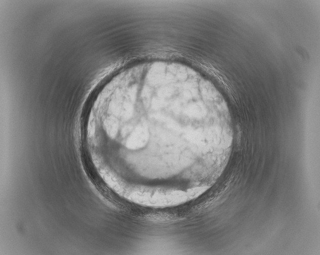 X0000115030630200912071049