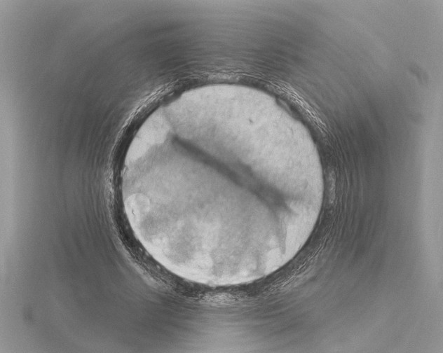 X0000115030634200912071049