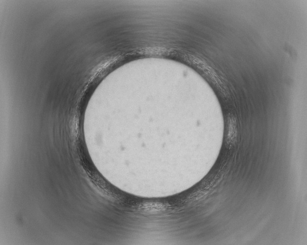 X0000115030636200912071049