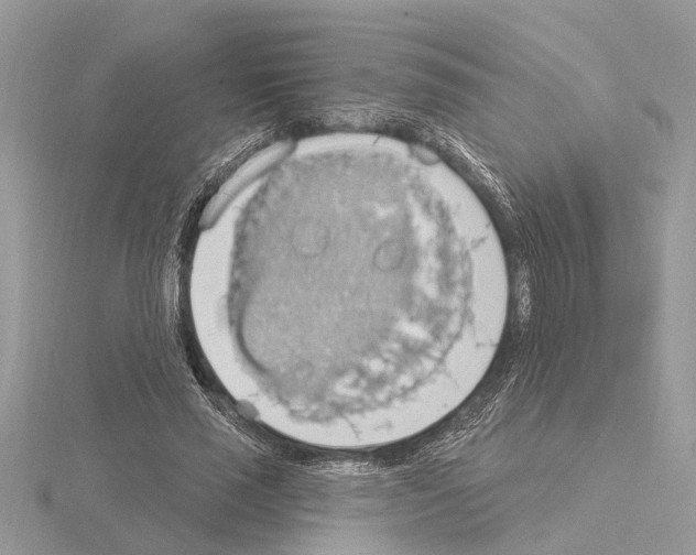 X0000115030637200912071049