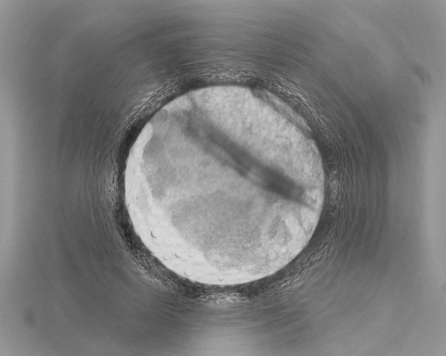 X0000115030642200912071049