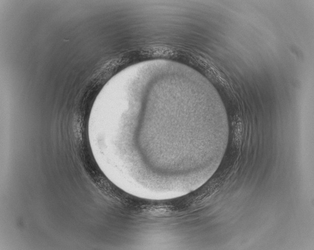 X0000115030643200912071049