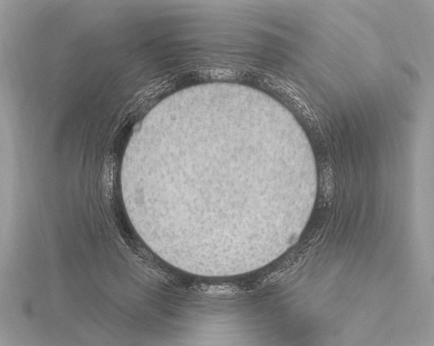 X0000115030645200912071049