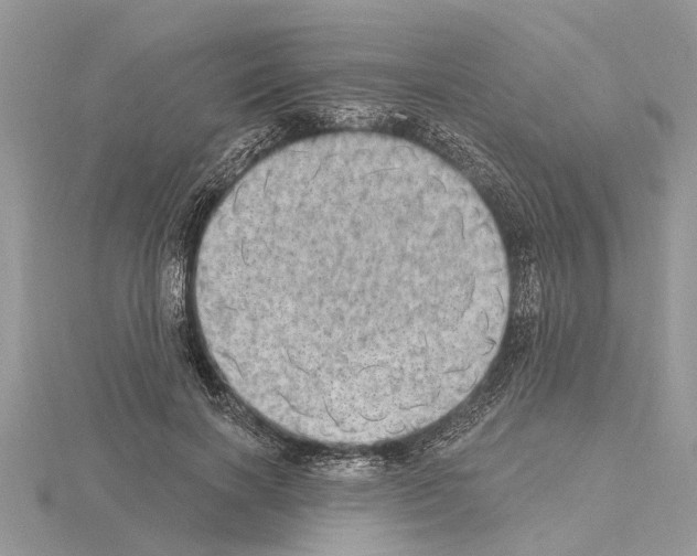 X0000115030646200912071049