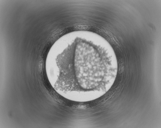 X0000115030647200912071049