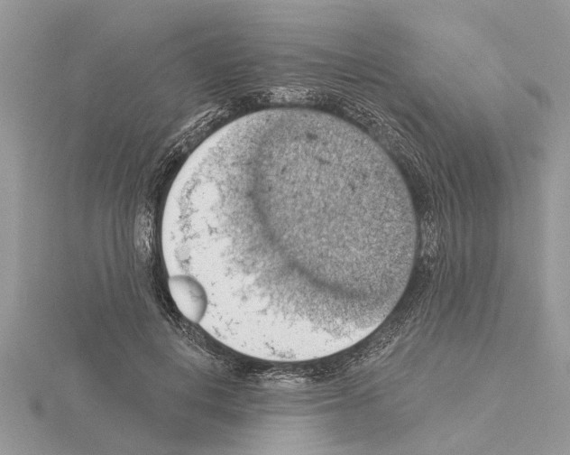 X0000115030648200912071049