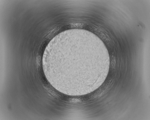 X0000115030649200912071049