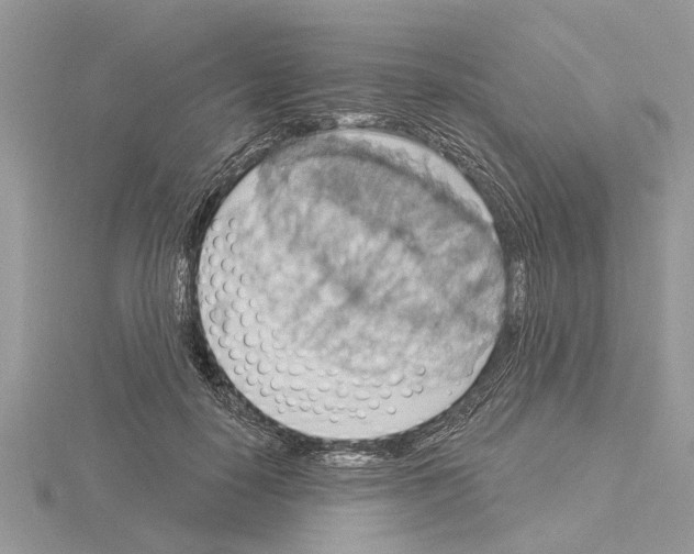 X0000115030650200912071049