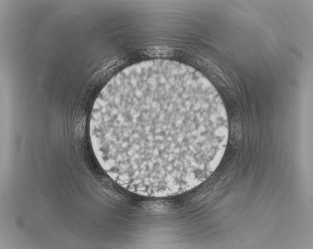 X0000115030652200912071050