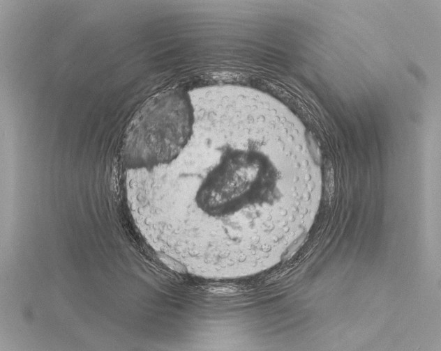 X0000115030653200912071050