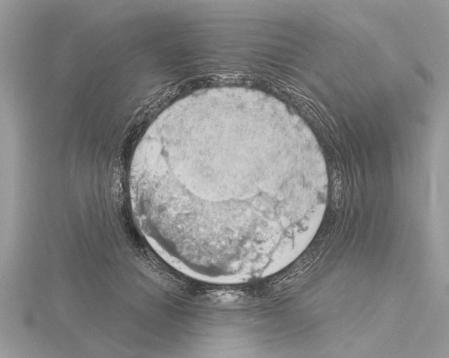 X0000115030654200912071050