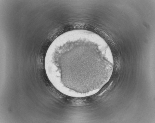 X0000115030661200912071050