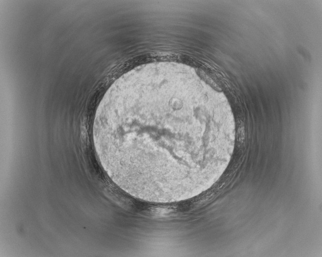 X0000115030662200912071050