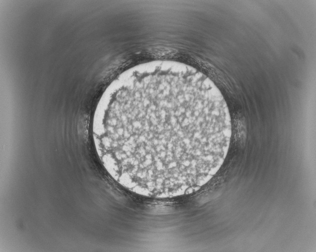 X0000115030664200912071050