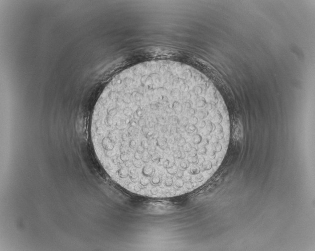 X0000115030666200912071050