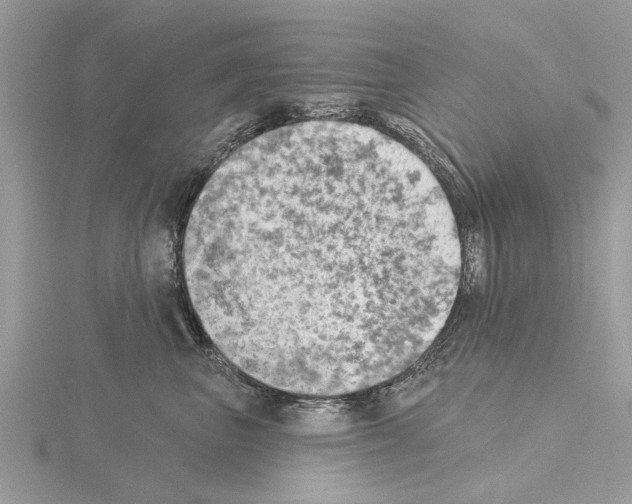 X0000115030667200912071050