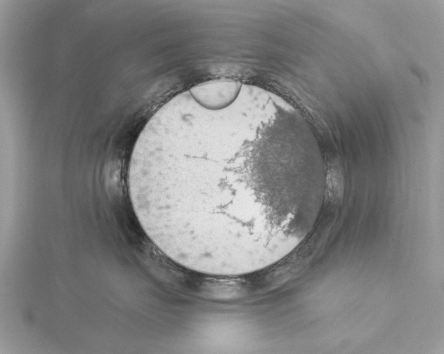 X0000115030671200912071050