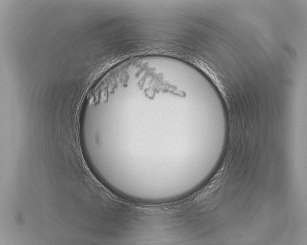 X0000115030673200912071049