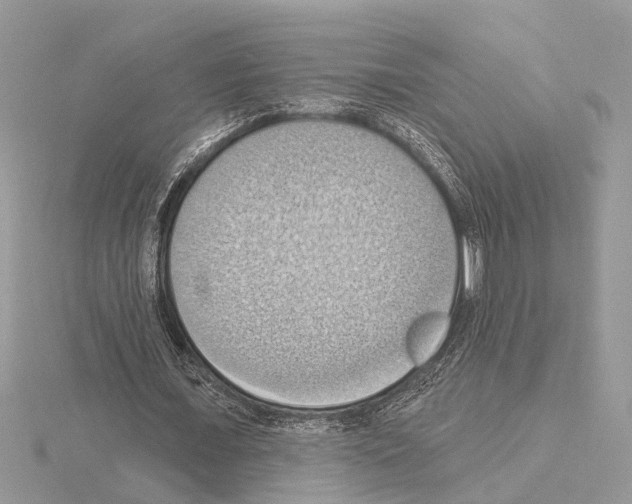 X0000115030675200912071049