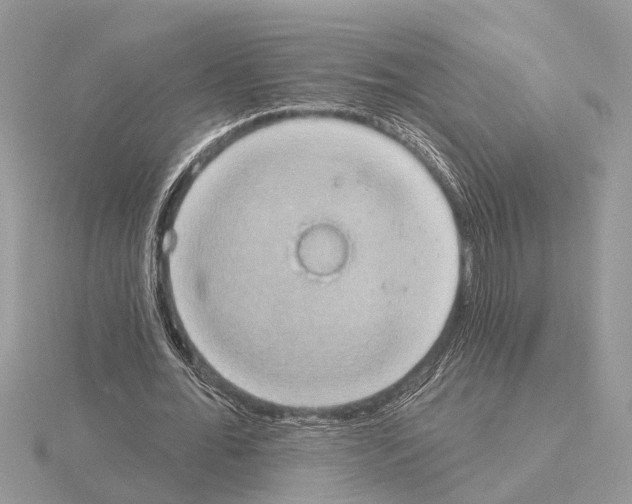 X0000115030676200912071049